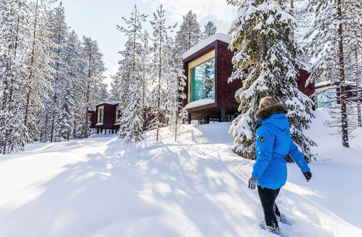 The Arctic TreeHouse Hotel