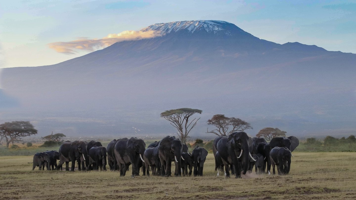 TANZANIA – KILIMANJARO