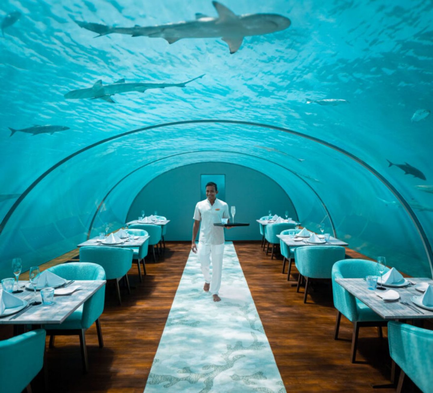 Ithaa Undersea Restaurant