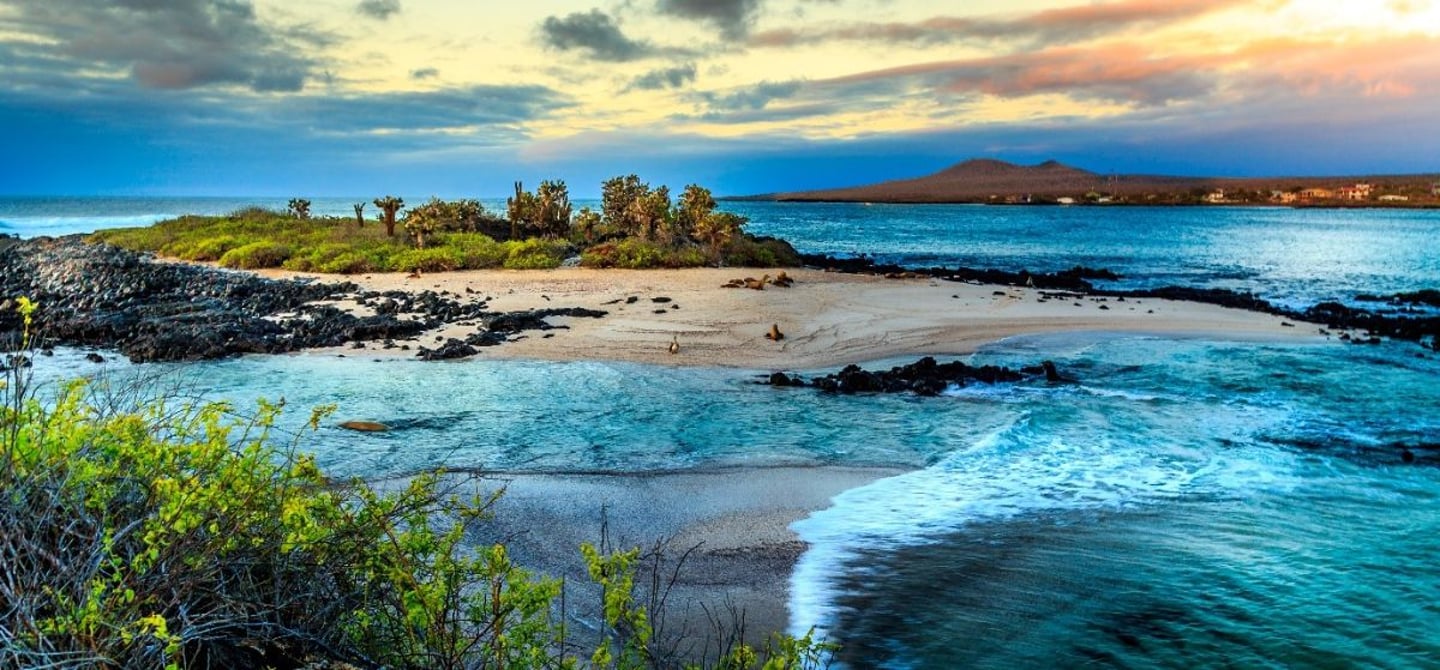 GALÁPAGOS ISLANDS