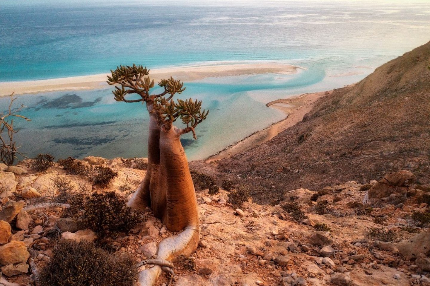 Sea of SOCOTRA