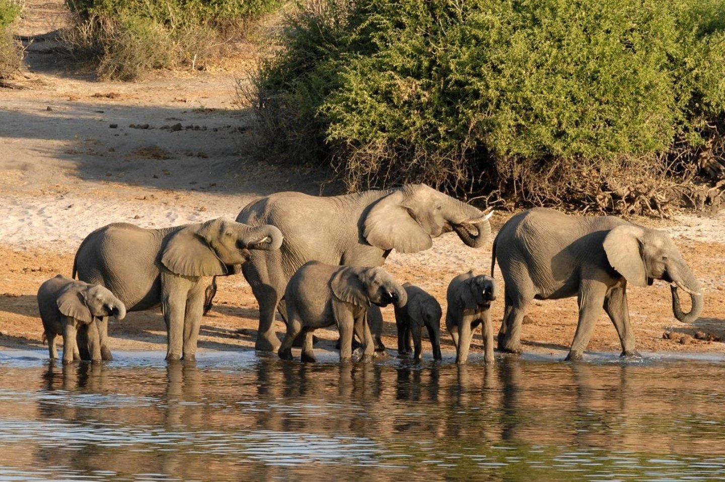 BOTSWANA