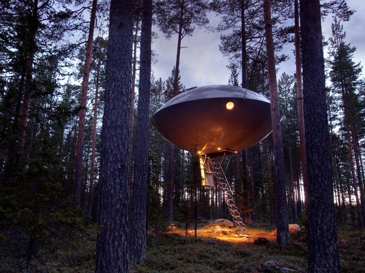 TREEHOTEL