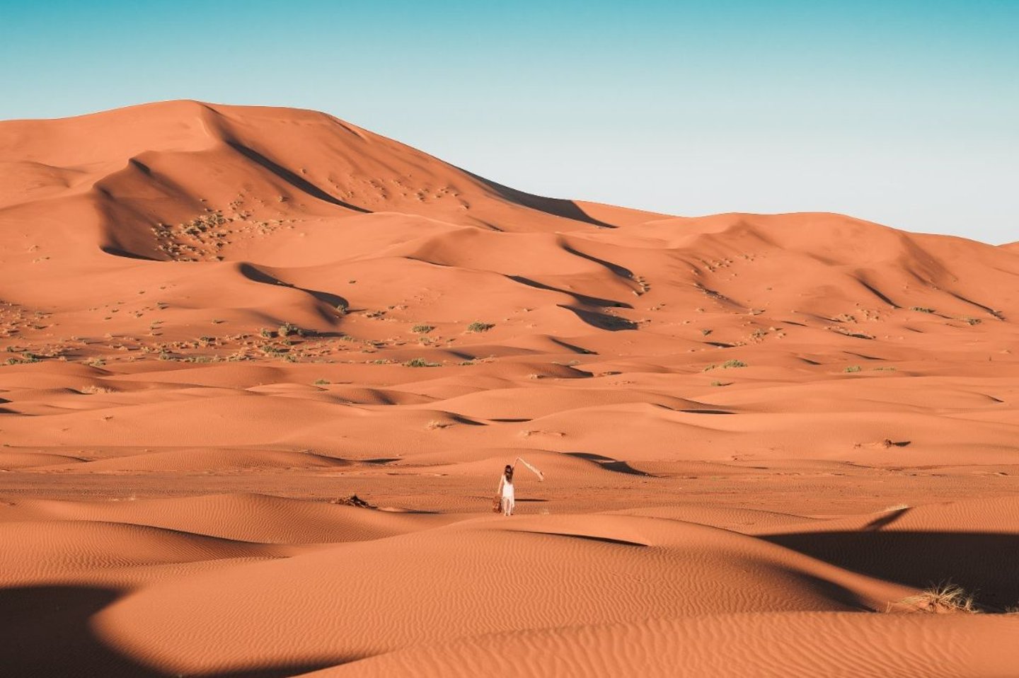 THE SAHARA AND MOROCCAN DESERT