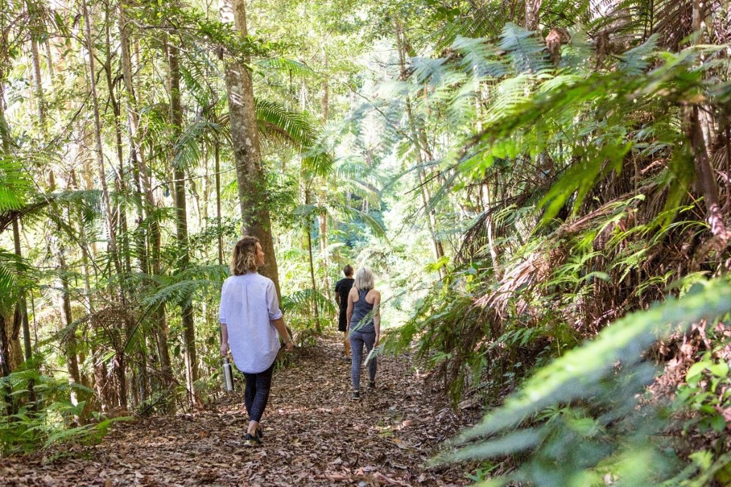 The Currumbin Valley