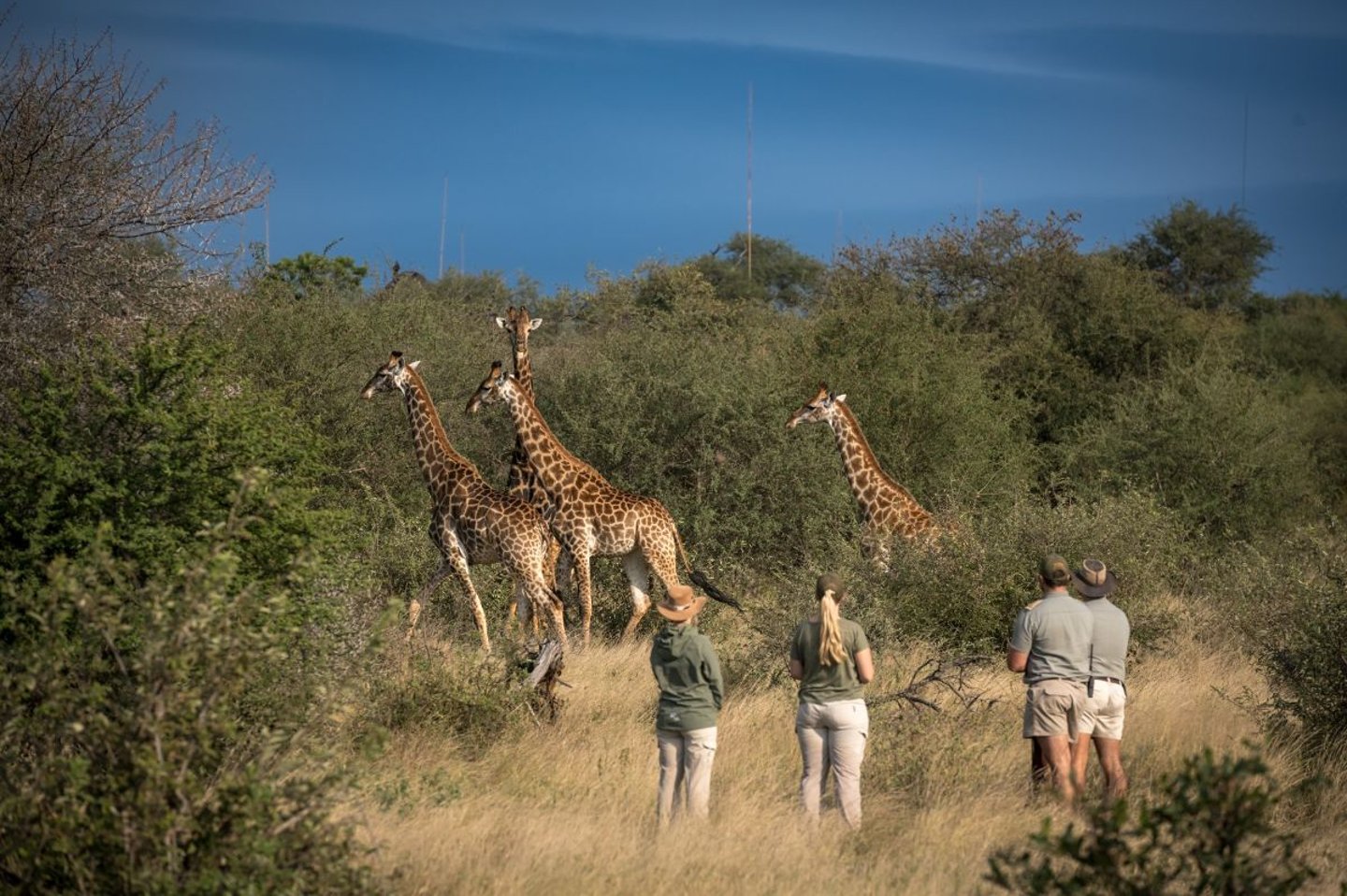  What are your favourite aspects of Makumu Private Game Lodge?