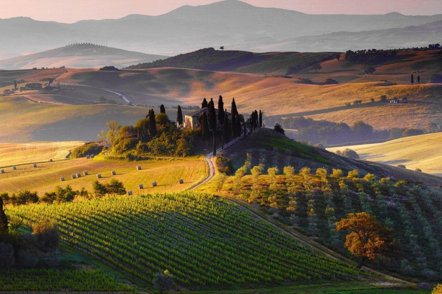 ITALIAN COUNTRYSIDE