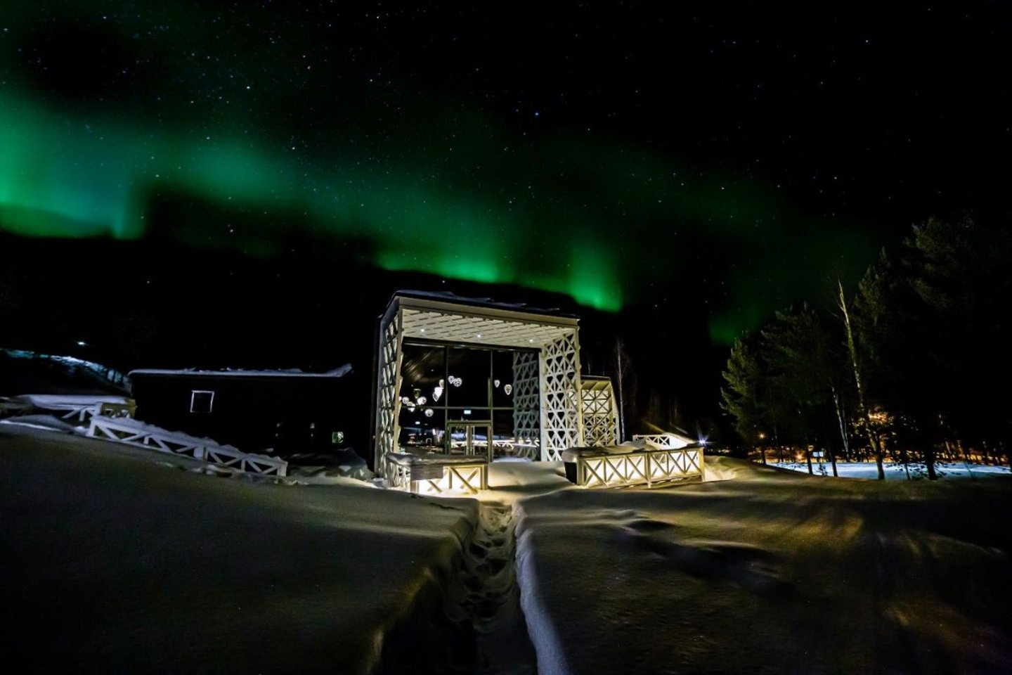 The Arctic TreeHouse Hotel